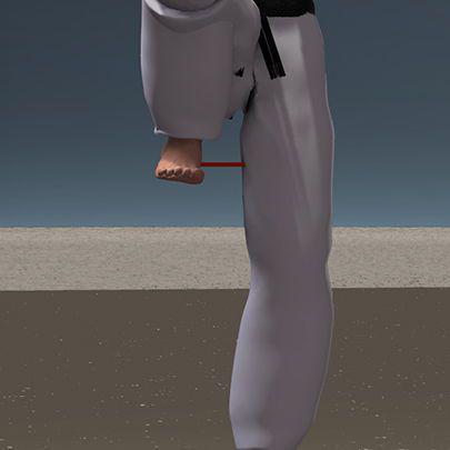 MAE GERI