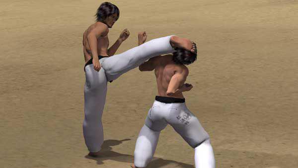 MAWASHI OTOSHI GERI