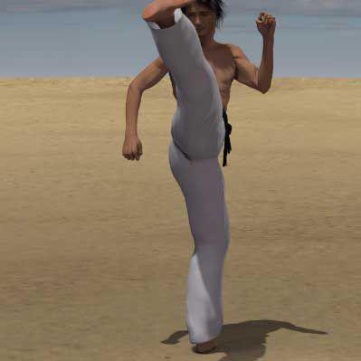 MAWASHI GERI KEAGE 