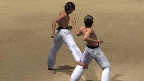 (HAISOKU GEDAN) MAWASHI GERI