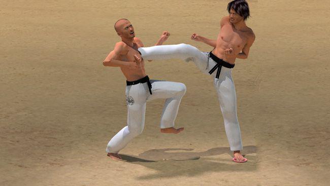 YOKO ASHI GERI