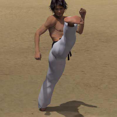 MAWASHI GERI KEKOMI