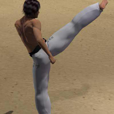  MAWASHI GERI