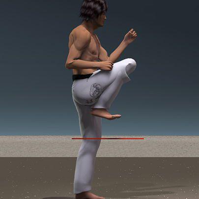 MAE GERI