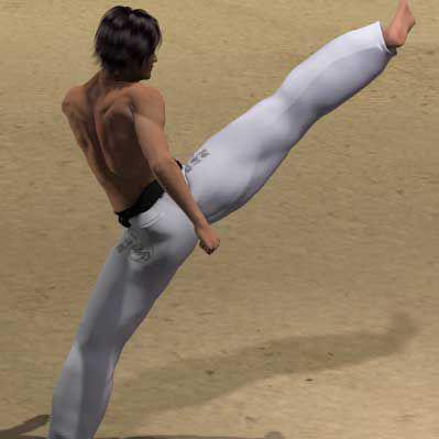  MAWASHI GERI