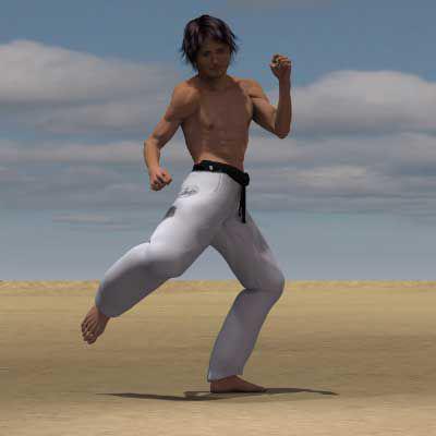 (HAISOKU GEDAN) MAWASHI GERI