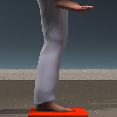 MAE GERI