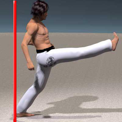MAE GERI KEAGE Y MAE GERI KEKOMI