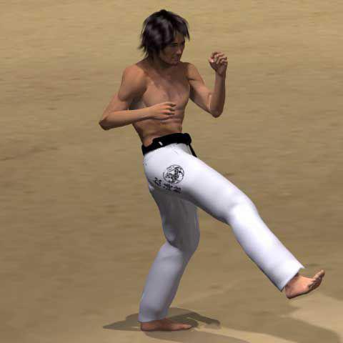 MAWASHI OTOSHI GERI 