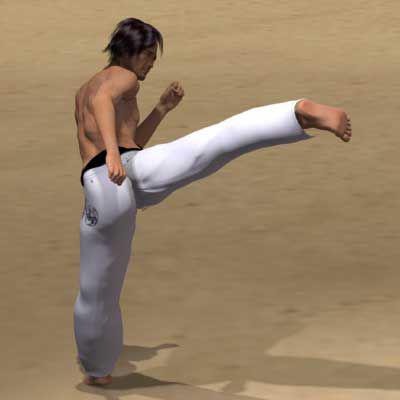 MAWASHI OTOSHI GERI 
