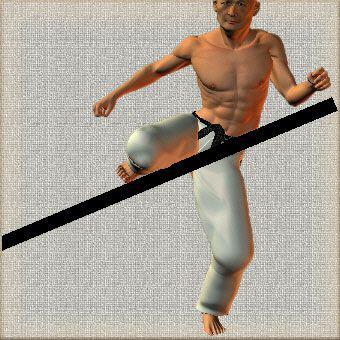 MAWASHI GERI