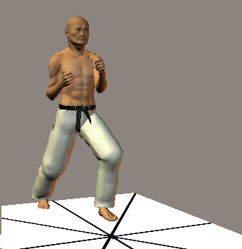 MAWASHI TOBI GERI