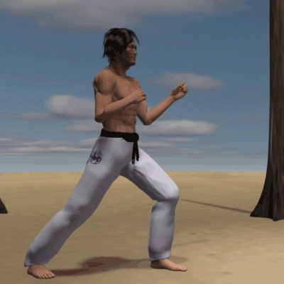 USHIRO MAWASHI  TOBI GERI