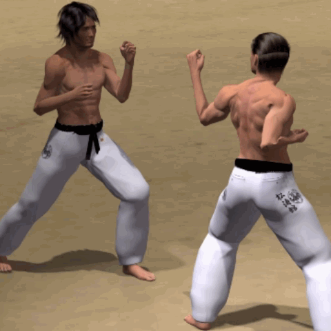 (HAISOKU GEDAN) MAWASHI GERI