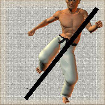 MAWASHI GERI