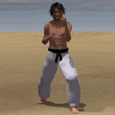 GYAKU MAWASHI GERI