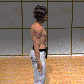 HEISOKU DACHI