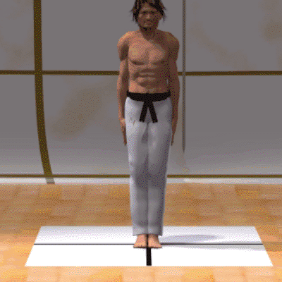 HEISOKU DACHI