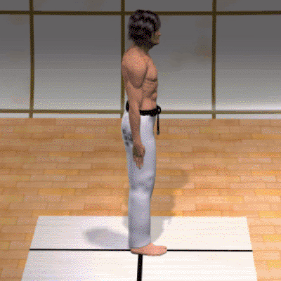 HEISOKU DACHI