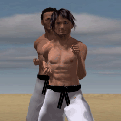 MAWASHI KAKATO GERI  