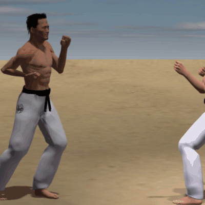 USHIRO MAWASHI  TOBI GERI