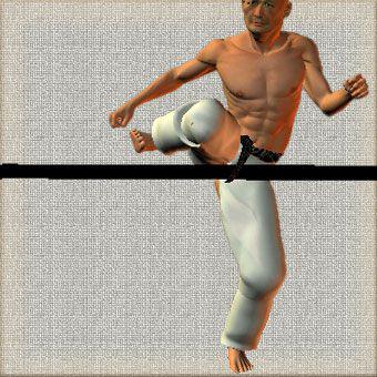 MAWASHI GERI