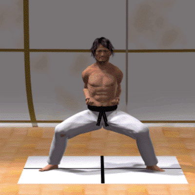 SHIKO DACHI