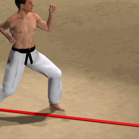 KIZAMI MAE GERI