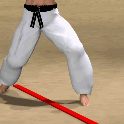 KIZAMI MAE GERI