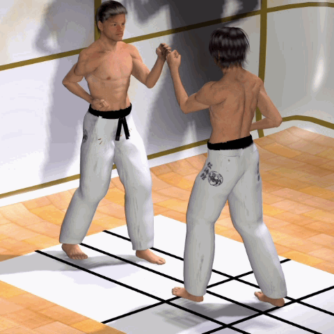 KIZAMI MAE GERI