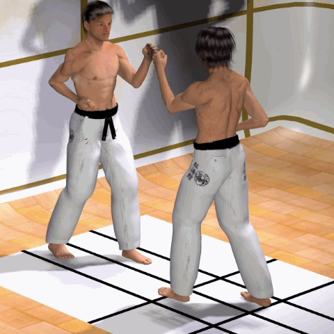 KIZAMI MAE GERI