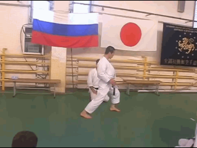 KIZAMI MAE GERI