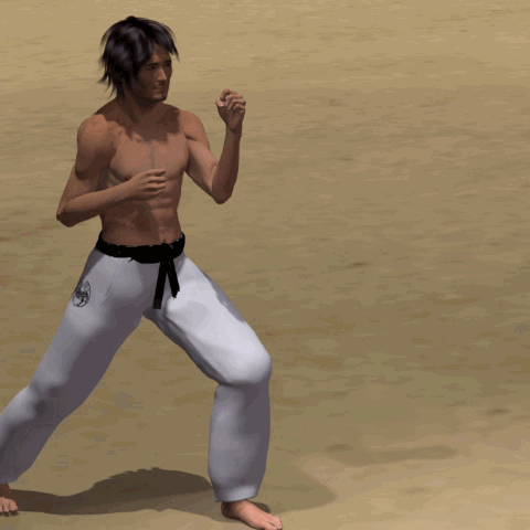 KO MAWASHI GERI