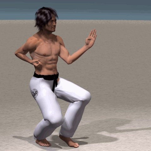 MAE ASHI GERI