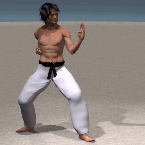 MAE ASHI GERI