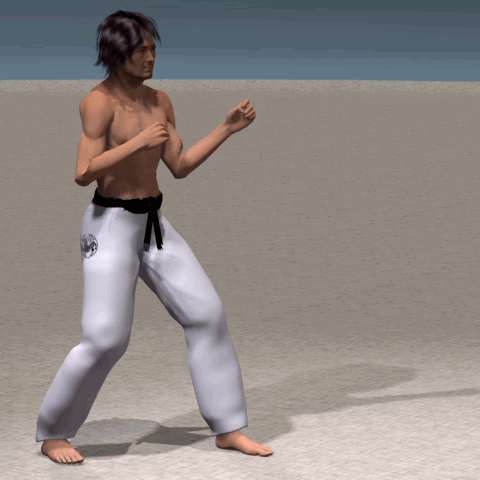 MAE ASHI GERI