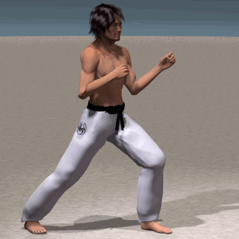MAE ASHI GERI