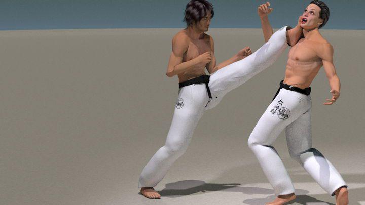MAE ASHI GERI 