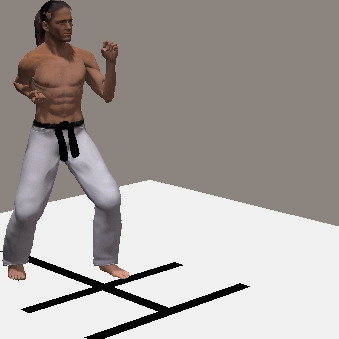 MAE ASHI GERI