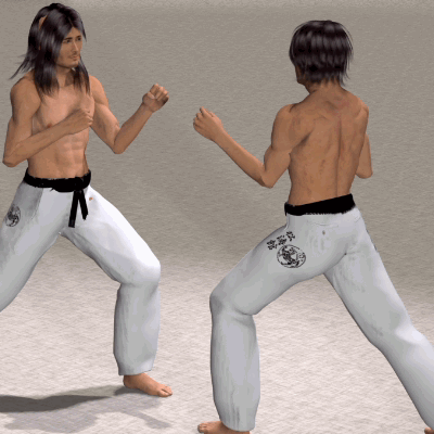 MAE GERI (USHIRO ASHI)