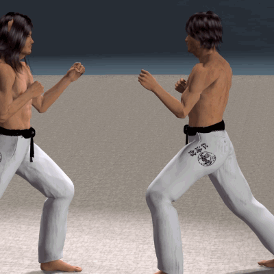 MAE GERI