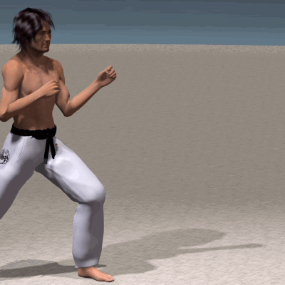 MAE GERI