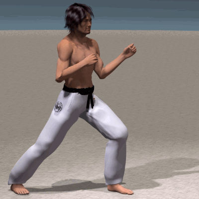 MAE GERI (MAE ASHI)