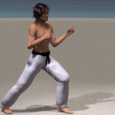 MAE GERI