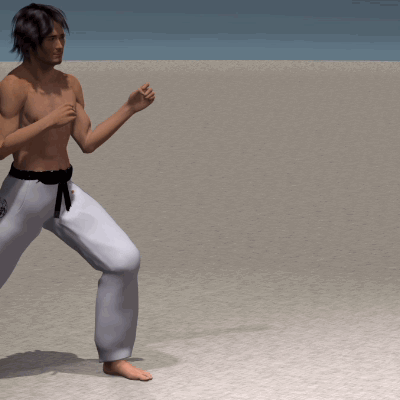 SURIKONDE MAE GERI