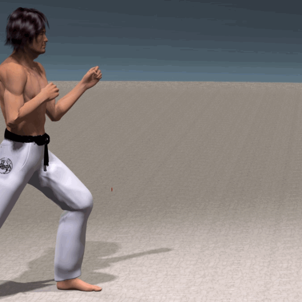 MAE GERI KEKOMI