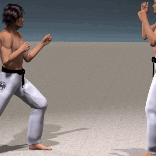MAE GERI KEKOMI