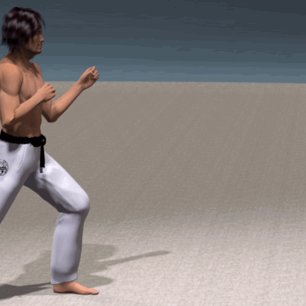 MAE GERI KEKOMI