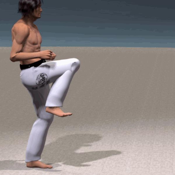 MAE GERI KEKOMI