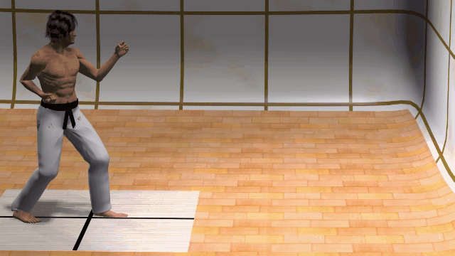 GIROS EN KARATE